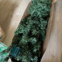 クリスマスツリーの画像