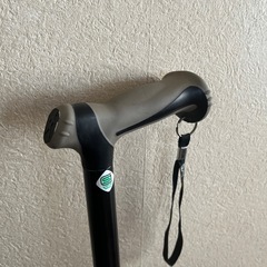 杖　伸縮式
の画像