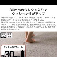N ウォーム ウレタン　ラグ/カーペットの画像