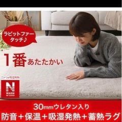 N ウォーム ウレタン　ラグ/カーペットの画像