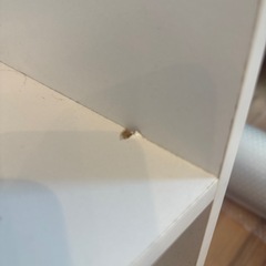 カラーボックス　A4サイズの画像
