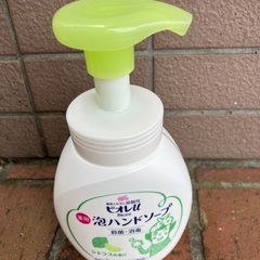 きれいきれい