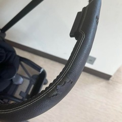 サイベックス　ミオスの画像