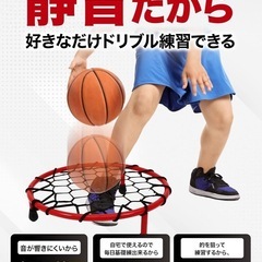 KaRaDaStyle ドリブル 練習 バスケ ドリブルネット 室内の画像