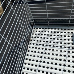 うさぎの🐇小屋ですの画像