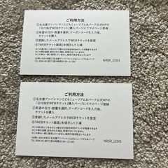 アンパンマンミュージアム名古屋チケット2枚とアンパンマンぬいぐるみ（新品）の画像