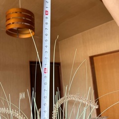観葉植物　造花の画像