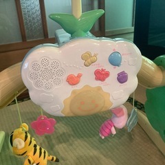 プーメリーの画像