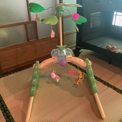 プーメリーの画像