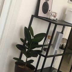 【決まりました】ikea アイアンシェルフ の画像