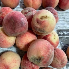 まどかももの画像