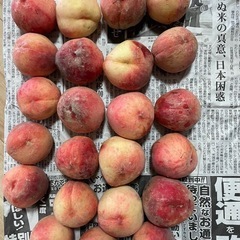 まどかももの画像
