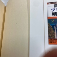 心理学対決! フロイト vs ユングの画像