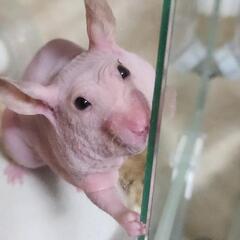 LINEから頼れる友達募集