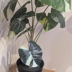 [IKEA]NESNA サイドテーブル+フェイク観葉植物の画像