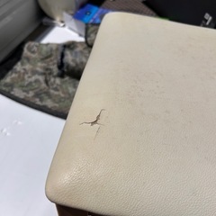 ダイニングチェアの画像