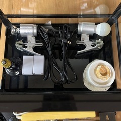 パンテオン4535の画像