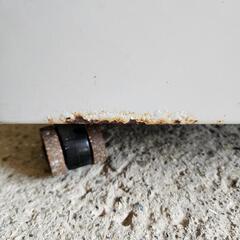 冷水ショーケース　動作確認済み引き取りに来ていただける方の画像