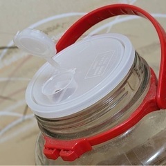 【4個セット】梅酒瓶・果実酒瓶 4〜5L まとめ売りの画像