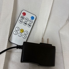 電動バウンサー
の画像