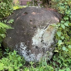 庭石の画像