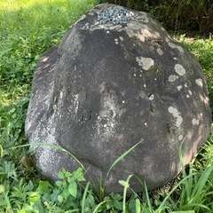 庭石の画像