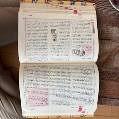 チャレンジ 小学 国語辞典 の画像