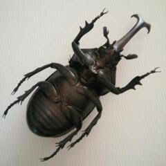 カブトムシのフィギュアの画像