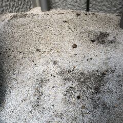花壇の土　大量（写真の量の２倍ほどの量で最後です）の画像