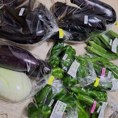 16(土)無人販売🚩の画像