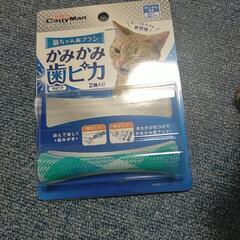 猫おもちゃデンタルケア