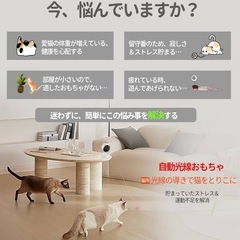 【新品未使用】ペット用品3点セットの画像