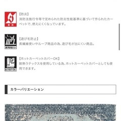 絨毯　ラグ
の画像