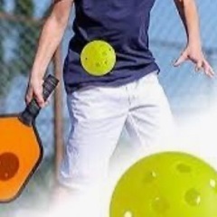 ピックルボール仲間募集中！(20代～40代前半)