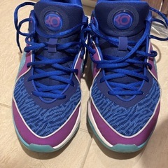 【美品】NIKE KD16 EP 27.0cm ケビン・デュラント バッシュの画像