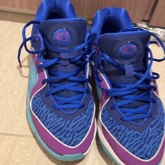 【美品】NIKE KD16 EP 27.0cm ケビン・デュラント バッシュの画像