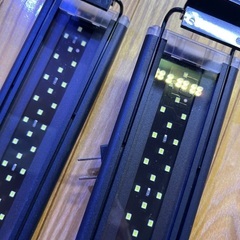 ☆えび星☆ 水作 LED ライトアップ 300 ブラック です！の画像