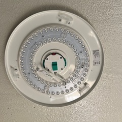 2020年製LEDライトの画像