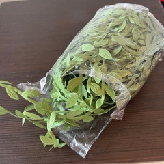 20m リーフリボン　diyの画像