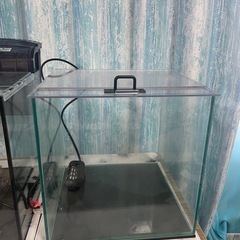 水槽、水槽セット、30cm水槽、30cmキューブ水槽、アクアリウム、熱帯魚、海水魚、金魚の画像