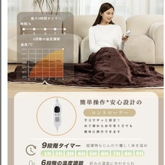 電気毛布 掛け敷き兼用 190×130 両面フランネル 洗える PSE認証済みの画像