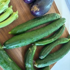 ❣️20%off🍆🥒採れたて夏野菜3種セット✨️の画像
