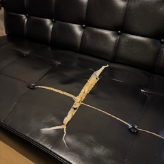 カリモク　ソファの画像