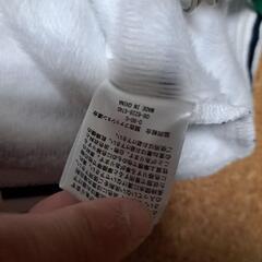 レディースボーダー服の画像