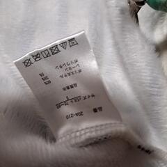 レディースボーダー服の画像