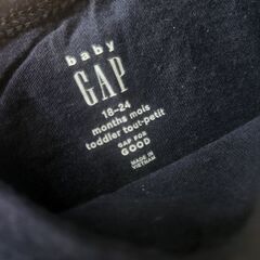 ティラノサウルスのTシャツ☆の画像