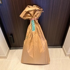 猫育成グッズ一式の画像