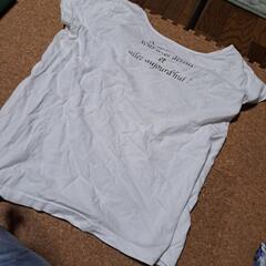 白Tシャツの画像
