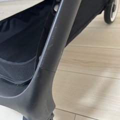 バガブー バタフライ の画像