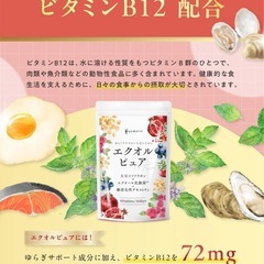 【新品】エクオール 乳酸菌 サプリ 30日分 ビタミンB12 アグリコン型 イソフラボンの画像